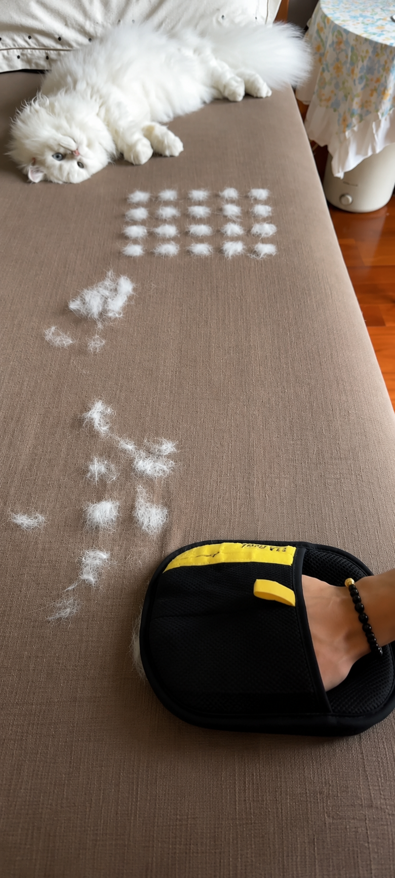 Wipe Away Fur